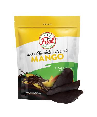 Fuel by Nature Dark Chocolate Covered Dried Mango, Healthy Choco Mango Snack, Bulk Dried Fruit, 1 lb Chocolate Mango 1 Pound (Pack of 1)