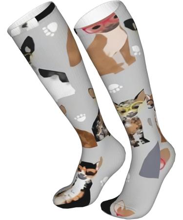 Chihuahua Dog Compression Socks for Men & Women - 15-20 mmHg Circulation Support for Running & Cycling - Buy Online on GoSupps.com