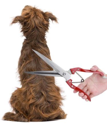Multifunctional Stainless Steel Sheep Shears & Garden Scissors - 30cm Needle-Nose Plant Rose Vineyards & Florist Scissors - Buy Online on GoSupps.com