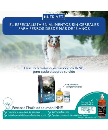 NUTRIVET - INNE Dog - Grain-free kibble - Sterilized or overweight adult dog - Poultry - 80% ingredients of animal origin - 3 kg - Buy Online on GoSupps.com