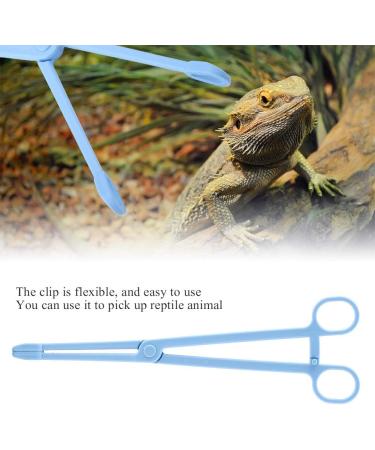 Blue Plastic Reptile Feeding Clip 24.5cm - Terrarium Tongs for Snake Lizard & Pet Raising - Buy Online on GoSupps.com