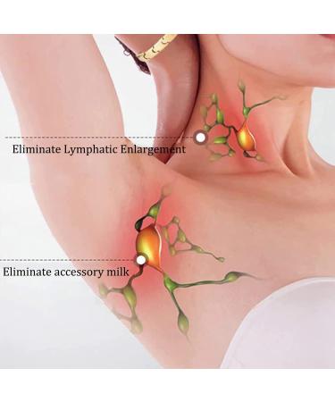 Magnetic Lymph Detox Bracelet for Women - Promotes Blood Circulation - Silver & Bronze - Buy Online on GoSupps.com