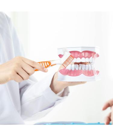 ALLY-MAGIC Denture Cleaning Brush Set - Purple & Orange - Buy Online on GoSupps.com