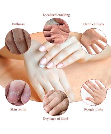 Fengyang Set of 5 Mini Hand Lotion Hand Creams for Women Gift Set Hand Cream Set Moisturizing Hand Cream for Women (Floral) - Buy Online on GoSupps.com