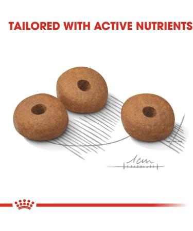 ROYAL CANIN Dog Food Mini Light 8kg - Buy Online on GoSupps.com