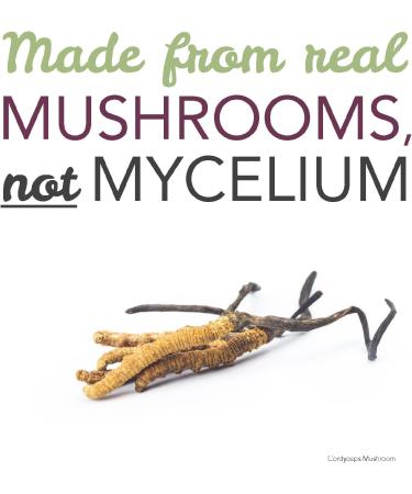 St. Francis Herb Farm Cordyceps Capsules - Buy Online on GoSupps.com