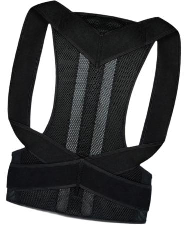 Milageto Back Support Brace Posture Brace for Adults Family Office Worker M - Buy Online on GoSupps.com