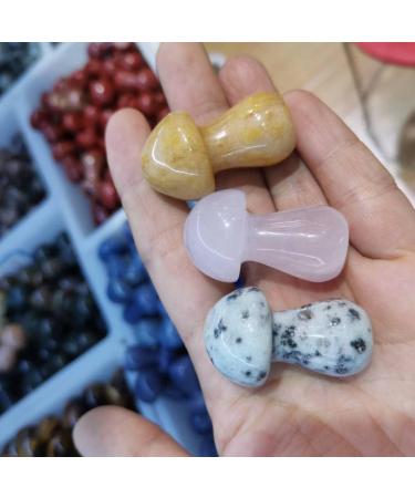 Natural Crystal Rough Natural Mixed Mushroom Model Crystal Stone Mushroom Statue Crafts Decoration (Color : Kambaba) - Buy Online on GoSupps.com