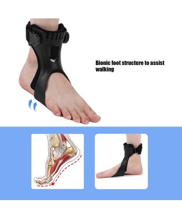 Soft AFO Foot-Up Orthosis Light Balance Drop Foot Brace for Shoes - M Left - Buy Online on GoSupps.com