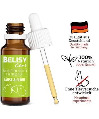 Buy BELISY Lice & Fleas Bach Flower Drops for Dogs & Cats - 20ml - Natural Treatment for Fleas & Lice - International Shipping - Buy Online on GoSupps.com