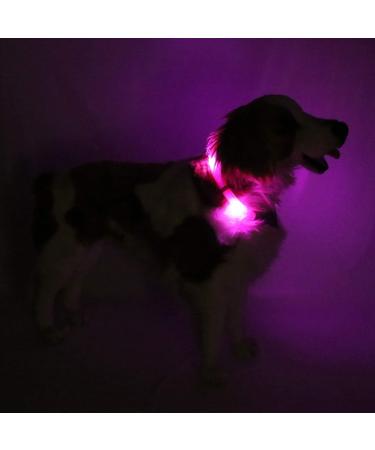 Leuchtie Luminous Elbe LED Dog Collar | Waterproof USB Charging 25h Light | Hot Pink for Small Medium & Large Dogs - Buy Online on GoSupps.com