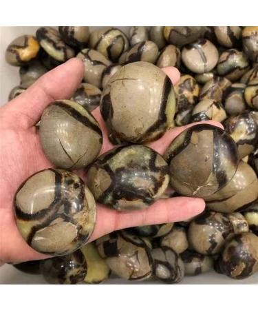 Natural Crystal Rough Specimen Natural ReikiSeptarium Quartz Crystal Stone Septarian Palm Size for Home DecorationStone Stone Mineral Specimen (Color : Light Grey Size : 5pc) 5pc Light Grey - Buy Online on GoSupps.com