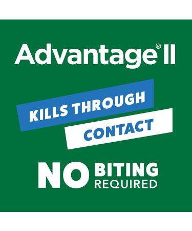 Advantage II Flea Treatment for Kittens - 2 Pack, 0.041 LB - Buy Online on GoSupps.com