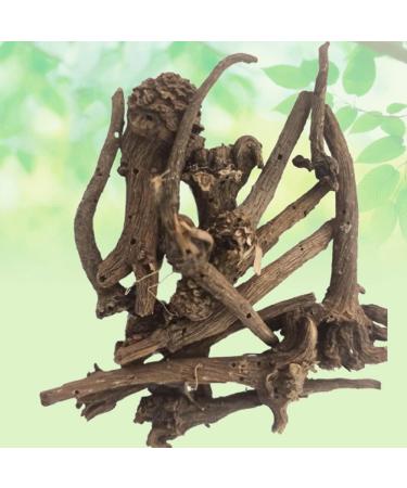 Akarkara Roots- Anacyclus pyrethrum-Raw Herbs-Pellitory Roots-Aaqir Qarha-Jadi Booti-Single Herbs (50 Gram) 50 g (Pack of 1) - Buy Online on GoSupps.com