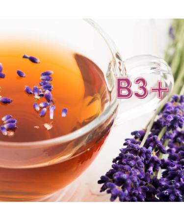 Buy Lavender Chamomilla Body Wash (Lot of 3) - Nourishing & Moisturizing for All Skin Types - Vegan & Paraben-Free - Men & Women - Buy Online on GoSupps.com