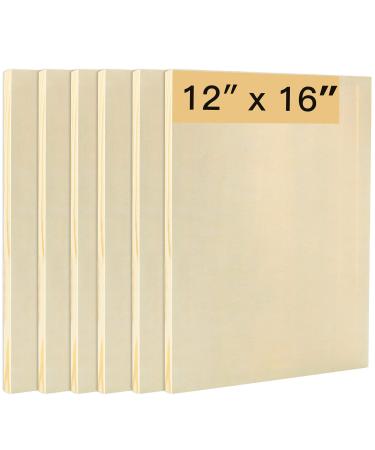 FVIEXE 6PCS Wood Panels for Painting  12 x 16 Inch Craft Wood Canvas Panel Boards  Unfinished Cradled Wood Panels for Arts & Crafts  Wooden Painting Pouring Panel Board 6pcs 12 x 16 Inch - Buy Online on GoSupps.com