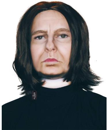 ALLAURA - Dark Professor Severus Wizard Costume Wig Long Black Mens Wigs Michael Vincent Jackson Vega For Adults - One Size Dark Professor Wizard Wig - Buy Online on GoSupps.com