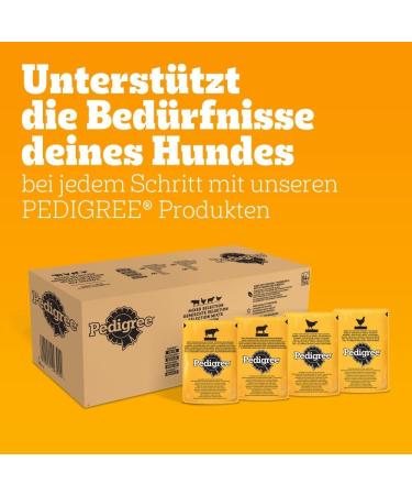 Pedigree Adult Dog Food Multipack in Jelly - 84 x 100g Portions 4 Varieties - Premium Water Feed for Adult Dogs - 8.4 kg - Buy Online on GoSupps.com