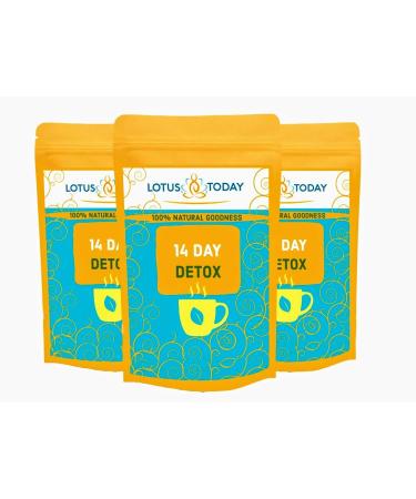lotustoday Lotustoday Herbs Detox Tea 21 Tea Bags Pack of 3 63 Herbal Tea Blends (Aloe Vera Detox Blend 63 Tea Bags - for 3 Months)