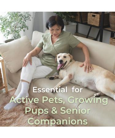 PregnaPaws Calcium for Dogs & Cats Prenatal & Postnatal Support Promotes Healthy Puppies & Kittens 200 Chicken Flavor Tablets - Buy Online on GoSupps.com