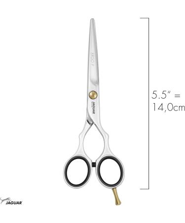 JAGUAR Hair Scissors PRE STYLE ERGO P 5.5 | Classic Polished Hairdressing Scissors | Made in Germany | Best Quality for Professionals - Buy Online on GoSupps.com