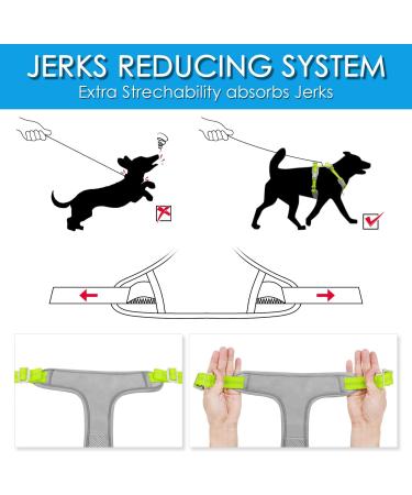 Thinkpet Anti-Zug Dog Harness - Adjustable Reflective & Breathable Control Harness with Handle (Small Bright Green) - Perfect for Comfortable Dog Walking - Buy Online on GoSupps.com