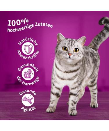 Whiskas 7+ Cat Food Poultry Selection in Sauce - 12x85g (4 Packs) | High-Quality Wet Food for Senior Cats | Shop Internationally - Buy Online on GoSupps.com