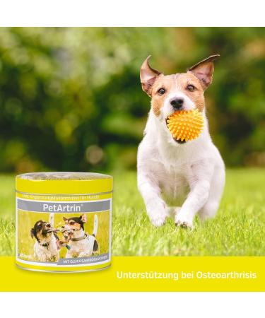 Alfavet PetArtrin - Joint Support Supplement for Dogs | 200g Powder for Osteoarthritis | International Shipping - Buy Online on GoSupps.com