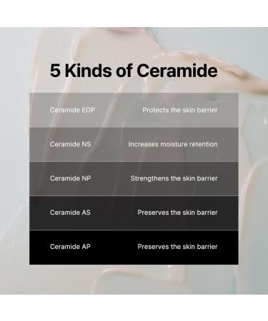 B:Lab Apple Cera Overnight Calming Cream 50 ml | 2% Ceramide NP (20,000 ppm) + Apple Vinegar | Barrier-Repair Night Moisturizer for Red & Dehydrated Skin | 1.69 fl oz - Buy Online on GoSupps.com
