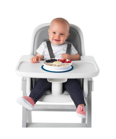 OXO Tot Stick & Stay Suction Divided Plate | Navy Blue | Best Child-Friendly Dinnerware for Easy Mealtime - Buy Online on GoSupps.com