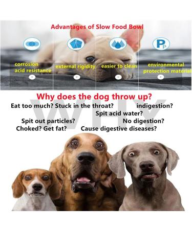 Fun Feeder Slow Bowl Dog Slow Feeders Bowls Anti-Obesity&Choking&Overeating Dog Puzzle Healthy Anti-Slip Lick Treat Bowls Dishes Maze Interactive Puzzle(Dark Green) - Buy Online on GoSupps.com