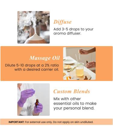 Handcraft Blends Spicy & Sweet Set: Orange and Cinnamon Essential Oils (2 x 4 Fl Oz) 100% Pure & Natural for Diffuser Aromatherapy and DIY Projects - Buy Online on GoSupps.com