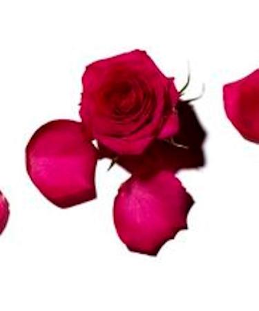 BENAM R Benamor Rose Am lie Lip Balm 12ml - Buy Online on GoSupps.com