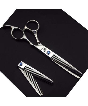 Purple Dragon 6.0 inch Sliver Salon Hair Thinning Scissors with Bag- Perfect for Professional Hairdresser (Double-sided Tooth)
