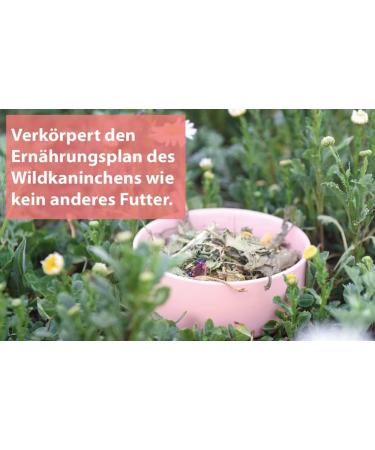 Green Shopper Purgr n 3kg Rabbit Feed - Premium Quality All-Natural Nutrition for Healthy Bunnies - International Shipping Available - Buy Online on GoSupps.com