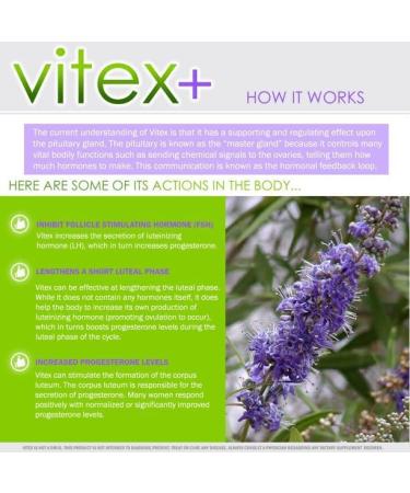 Vitex Plus 650mg Chasteberry Supplement for Women - Hormone Balance, PMS Relief & Menopause Support - 60 Capsules - Buy Online on GoSupps.com