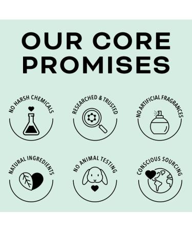 Beauty Foundry Clarifying Tea Tree Facial Oil Targets Acne and Uneven Skin Tone Antioxidant-Rich Beauty Oil 1-fl oz/30ml (1 Pack) - Buy Online on GoSupps.com