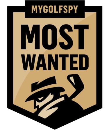 Frogger Golf BrushPro Retractable Club Brush with Groove Cleaner - Gray - Buy Online on GoSupps.com