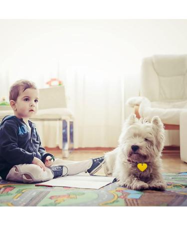 72-Pack Pet Metal Name Shields Round Square & Heart Pendants for Dogs & Cats | Custom Name Tags - Buy Online on GoSupps.com