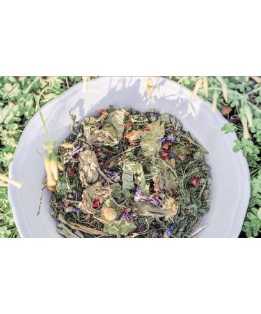 Green Shopper Purgr n 3kg Rabbit Feed - Premium Quality All-Natural Nutrition for Healthy Bunnies - International Shipping Available - Buy Online on GoSupps.com