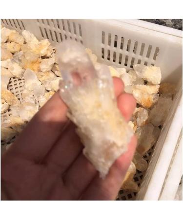 Beautiful Natural Clear Quartz Crystal Cluster Point Specimen Gift HOMEZHOU - Buy Online on GoSupps.com