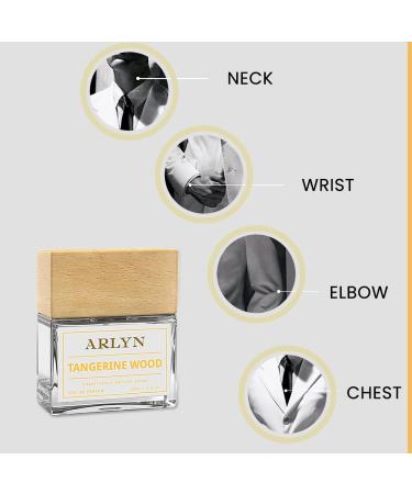 ARLYN Tangerine Wood Eau De Parfum Inspired by H rmes Terre D'hermes Perfume for Men Luxury Fragrance - Vegan Cruelty-Free and Eco-Conscious (1.7oz / 50ml) - Buy Online on GoSupps.com