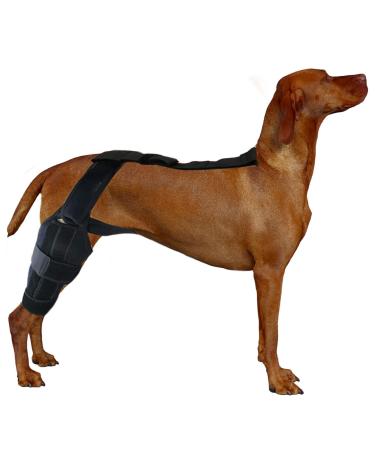 Dog Behind Leg Brace | Brace Behind Leg Support Dog Knee Brace Neoprene Hip Brace Adjustable Traction Belt for Knee for Cruciate Ligament Injury for Torn ACL Leg M right