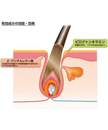 Kaminomoto Medicate Shampoo B & P 300ml by Kaminomoto - Buy Online on GoSupps.com