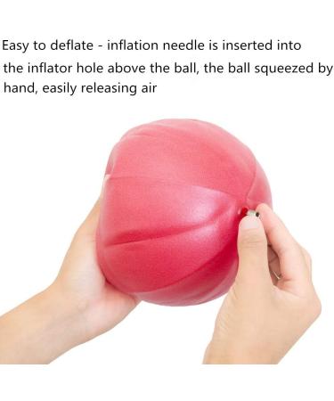 Jogi-HHACQUIT Mini Fitness Exercise Ball Kit with Hand Pump for Yoga  Pilates  Body Balance  Core Training and Stability  8" - Buy Online on GoSupps.com