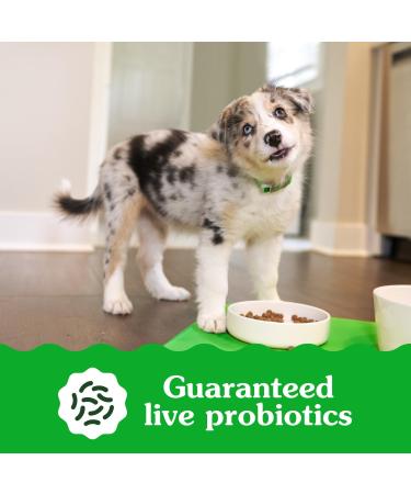 Greenies Smart Essentials Puppy Dry Dog Food Real Chicken & Brown Rice Recipe 2.49Kg Bag - Buy Online on GoSupps.com