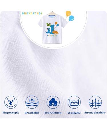 AMZTM 1st Boy Dinosaur Birthday Shirt - Toddler Baby Outfit - Size 80 White - Buy Online on GoSupps.com