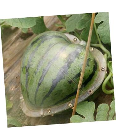 Hoement Fruit Shaping Molds Fruit Vegetables Square Tool Watermelon Shaping Grow Mold Cooking Utensils Strawberry Pumpkin 17x17cm Transparent - Buy Online on GoSupps.com