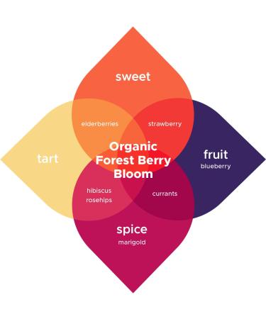 Forest Berry Bloom Brew Booster - Certified Organic Elderberry Currant Blueberry Blend for Premium Kombucha Flavoring, Iced Tea & Sangria - Natural, Caffeine-Free - Buy Online on GoSupps.com