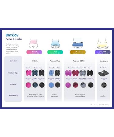 BackJoy SitSmart Posture Core Seat Pad for Lower Back Pain Relief - Improve Posture on Car, Office Chairs - Waterproof Portable Design for Adults M-XL (Onyx) - Buy Online on GoSupps.com